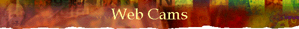 Web Cams
